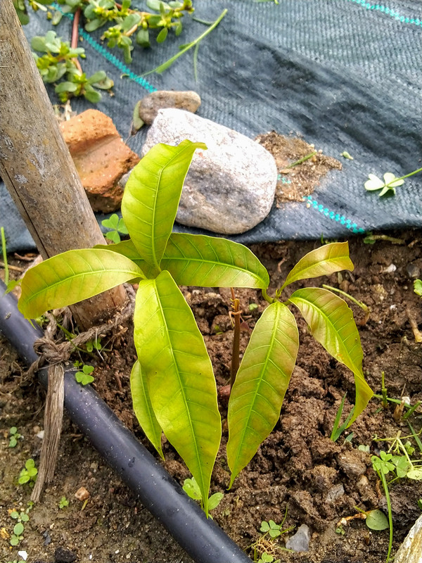 IMG_20211102_092311~2