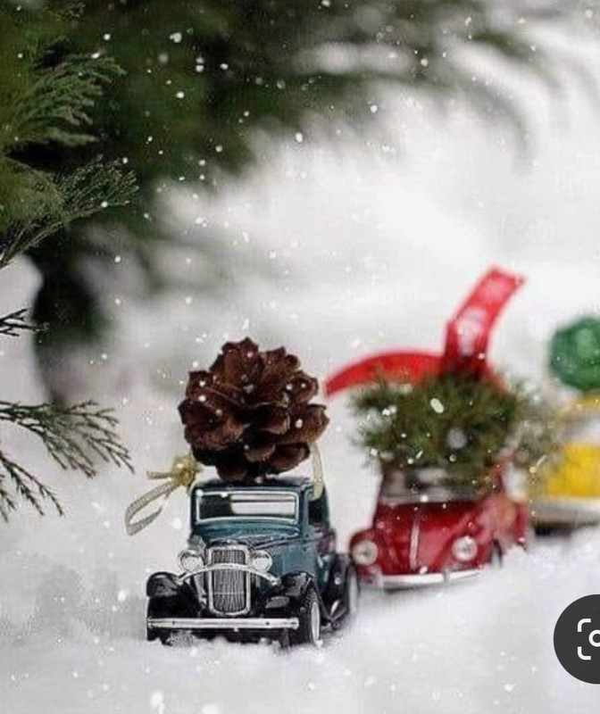 Screenshot_20231211_181552_Pinterest