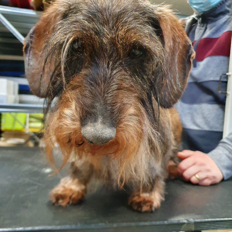 [Image: 20210205-145928.jpg]