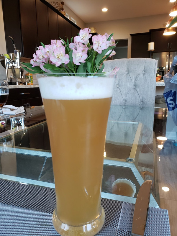 Paula's Hazy IPA  5-19-21