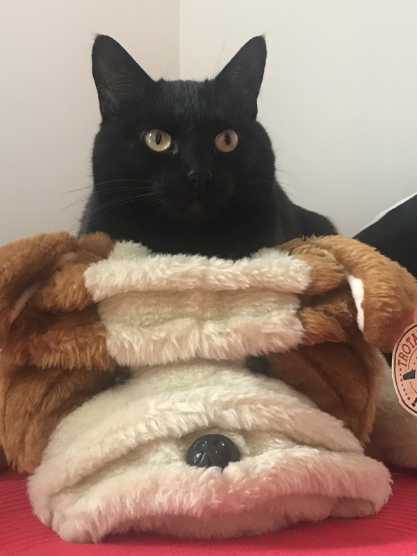 2D13674E-9F53-4670-95F1-9CC7B4A7CF19