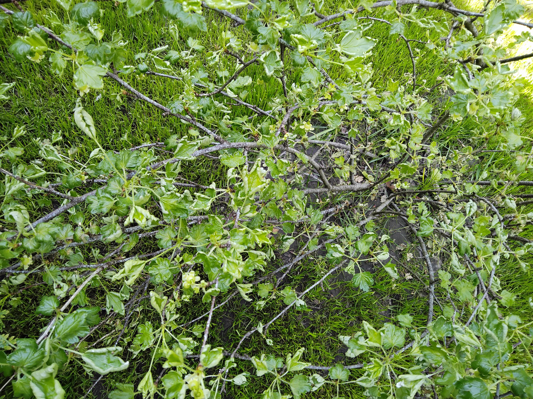 IMG_20220511_123915_852