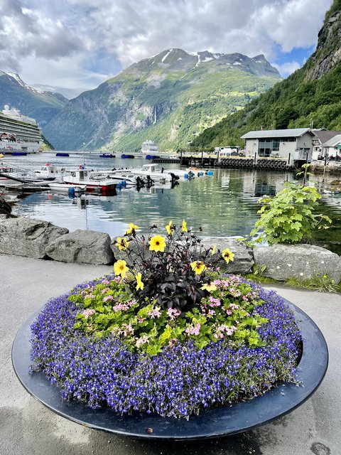 [Linked Image from i.postimg.cc]