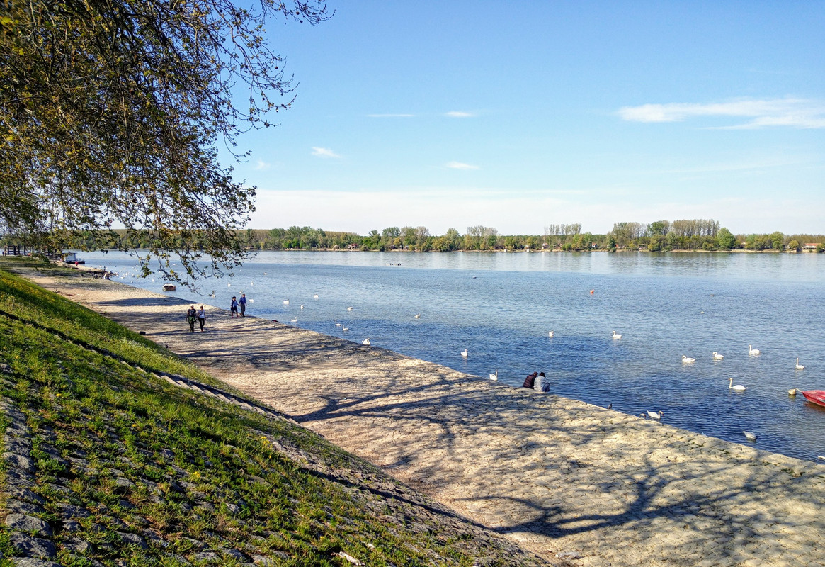 20200417_160302(1)~2