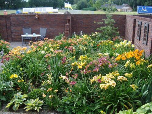 [Image: 84-JPG-4.jpg]