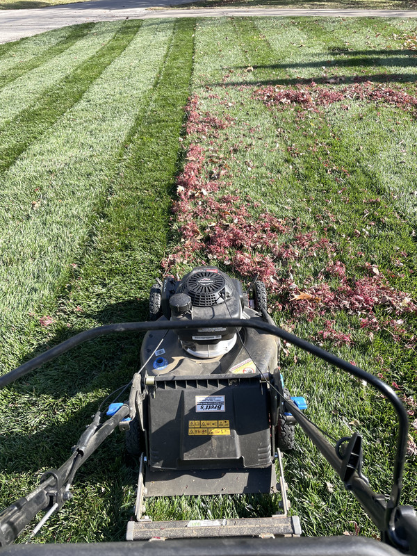 DC0D08DB-84BF-48AC-85FE-0089522EAD01