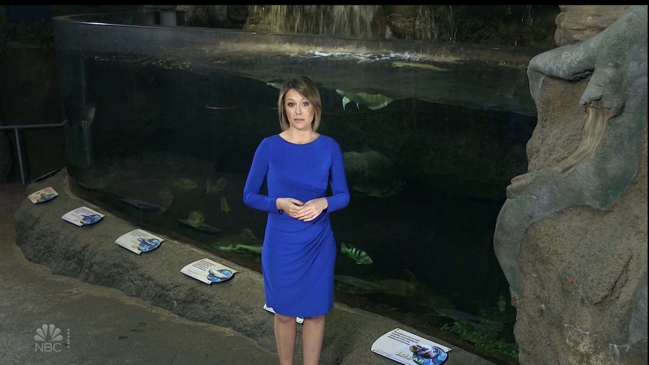11.07 - 15.00.00 - Earth Odyssey With Dylan Dreyer. The world's smart....ts_snapshot_00.14.48.432