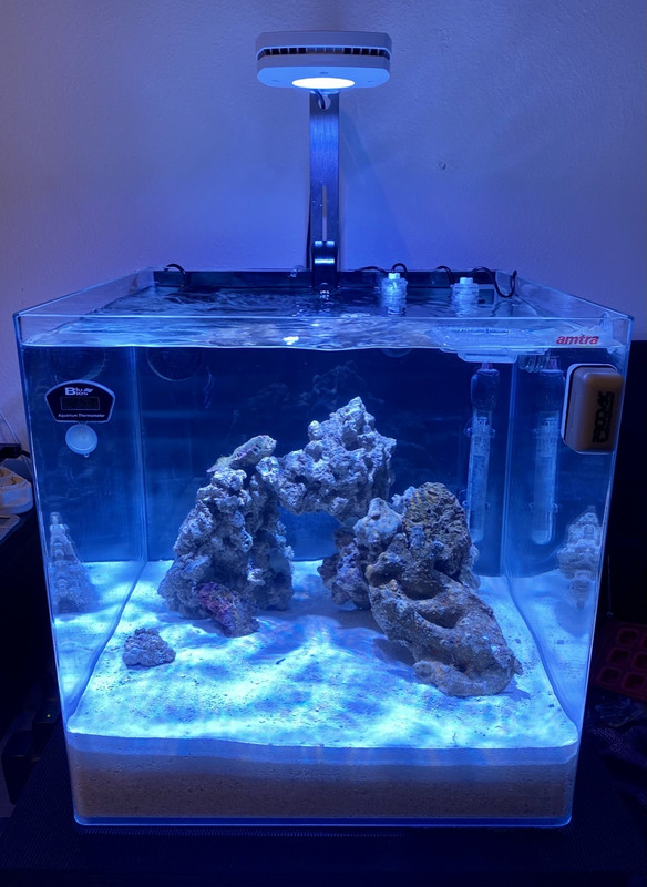 F4FAA701-8FEB-43FA-898F-F8D3EAF058A3