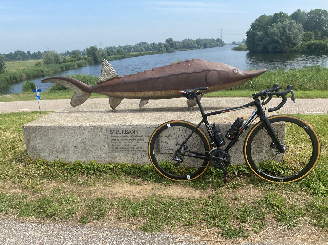 E55B51AC-C0E7-42AA-93DA-282D65FFDC98