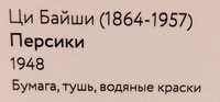 https://i.postimg.cc/ry7DMKLD/5.jpg