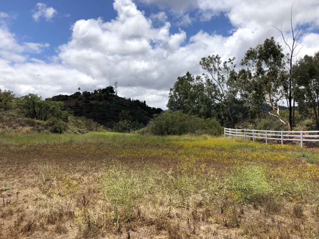 9166CA93-E245-4F1E-9FC6-60CE5DE3BC43