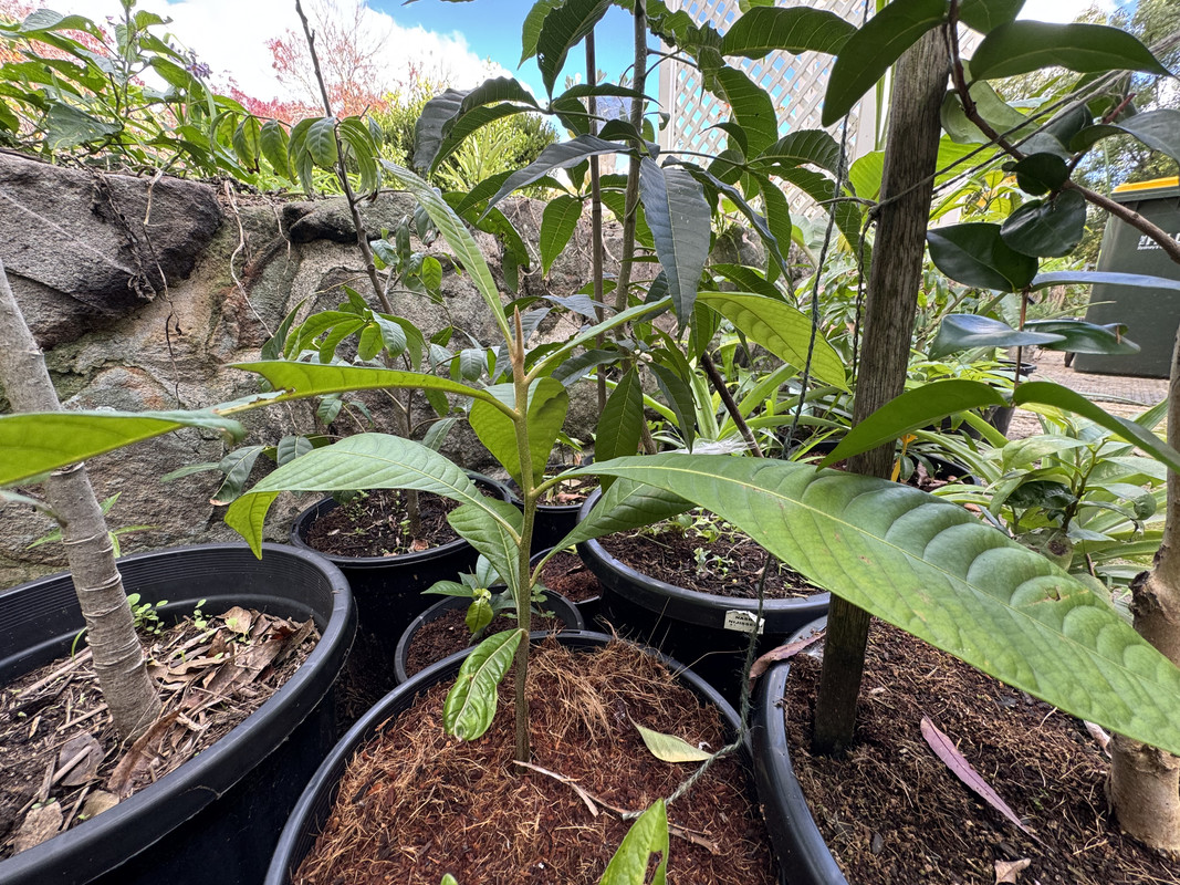 88FB8A6A-C6A6-4F6D-9D7C-B3B5076A8F2B