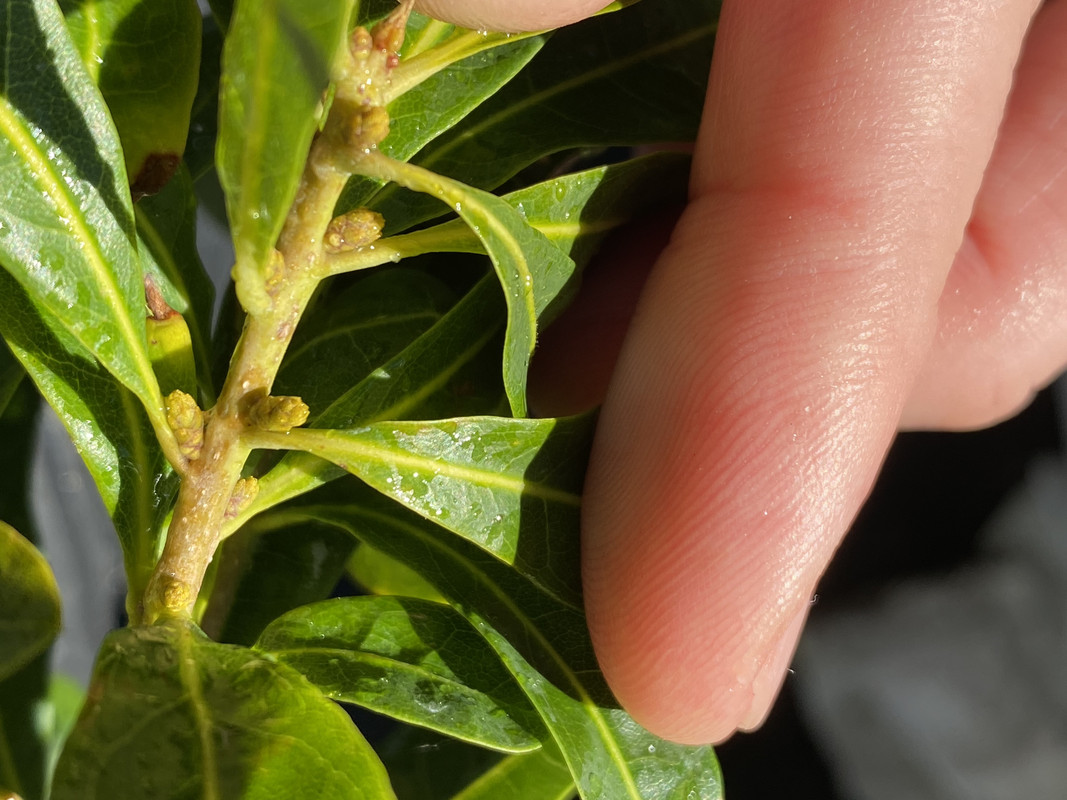 E6AEE664-8354-4282-8DDE-4B824310E4DD