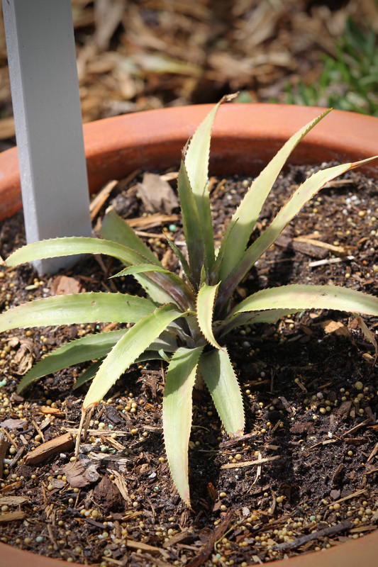 2BF108A7-83FD-48AC-A3CB-7C941EE4954F_1_201_a