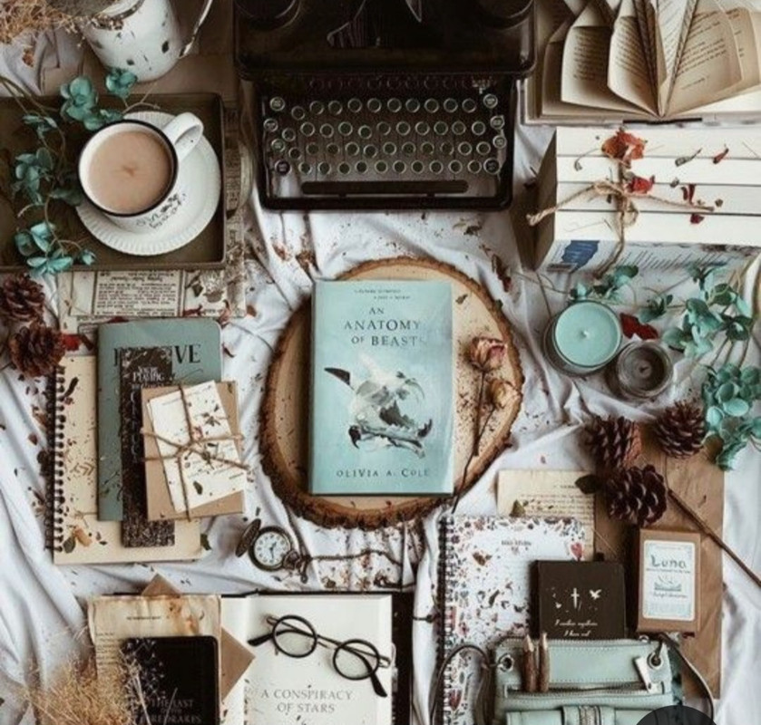 Screenshot_20230316_022725_Pinterest