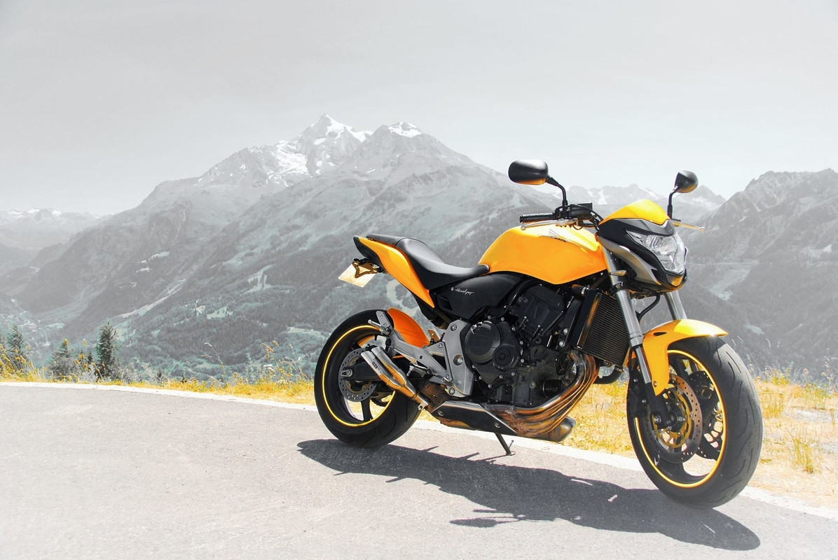 74BA006D-39DD-42FF-B06B-06852BE2559D