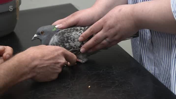 [Image: eeyy7i57dhh0.jpg]