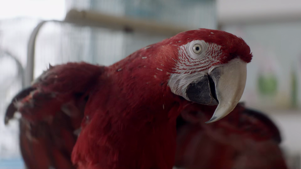 vlcsnap-2024-03-02-22h07m48s138