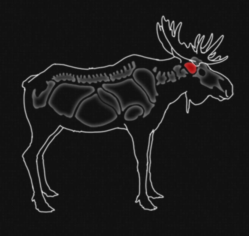 Screenshot_20230719_190520_DuckDuckGo