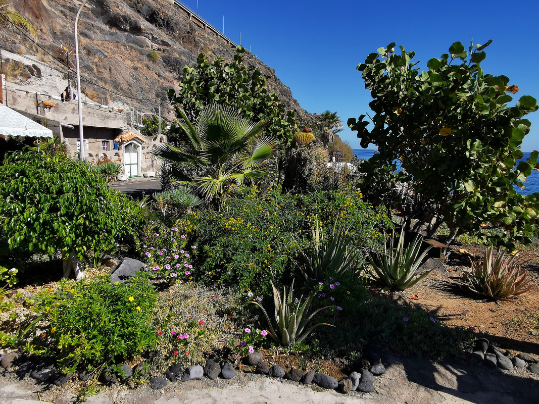 IMG_20240103_123641_edit_88477658707852