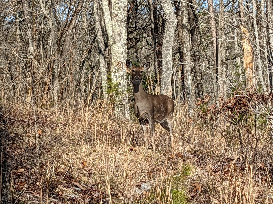 272248643_10223462268019375_3677696559304274581_n