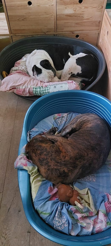 98D205A5-57D2-4A05-9BDA-632800E46B72