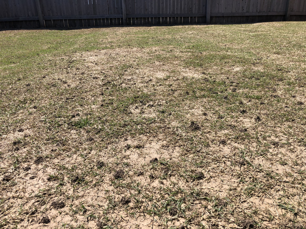 21D9B8AB-3D93-4D00-9550-43F8E295C9FD