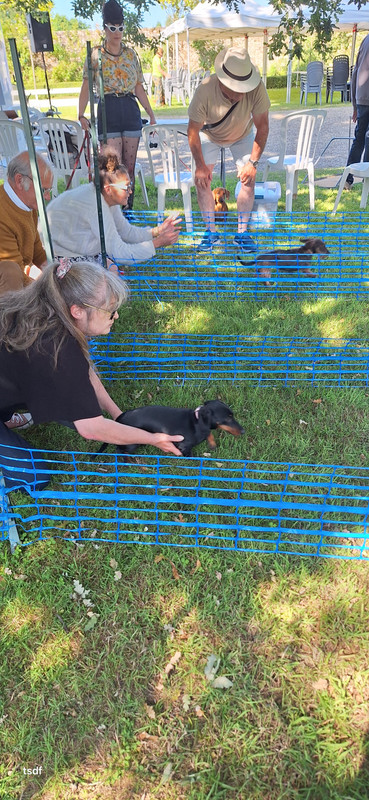 [Image: 20250615-174518.jpg]