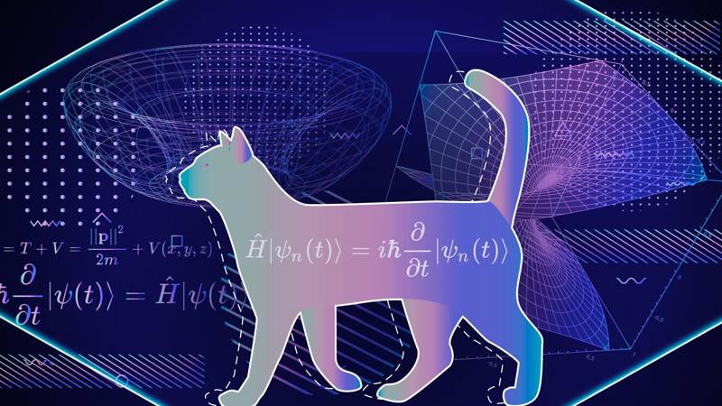 spiegazione gatto schrodinger