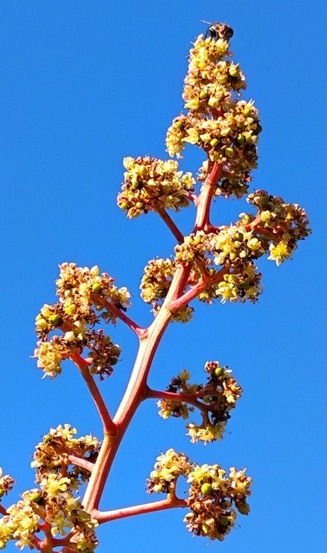 IMG 20260107 154427081 3