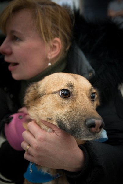 044D363F-9081-42A6-908C-CFA583AC4485