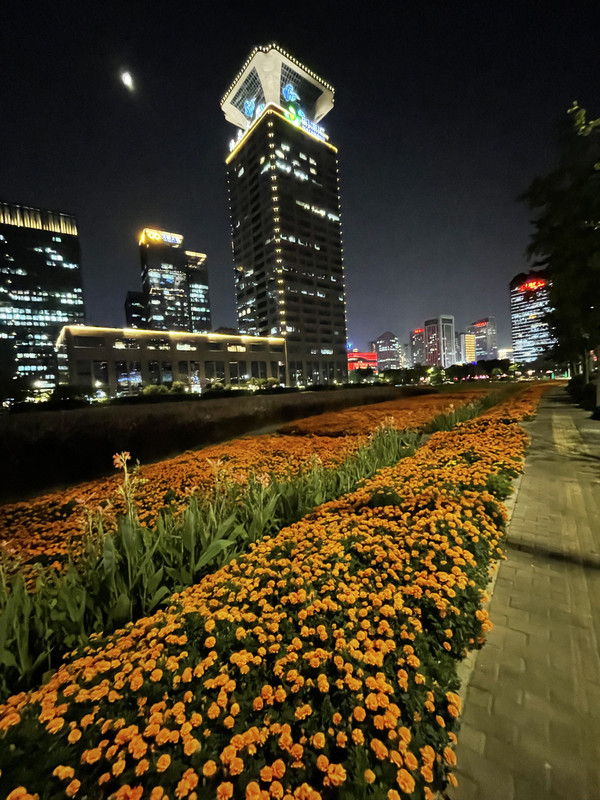 AE052F6F-7A4E-49DD-8433-D3C533639938