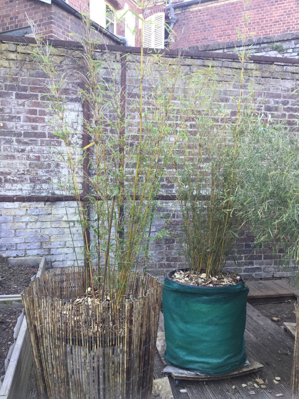 E06E5C76-60D8-404A-9E26-8DAB1A03C5D7