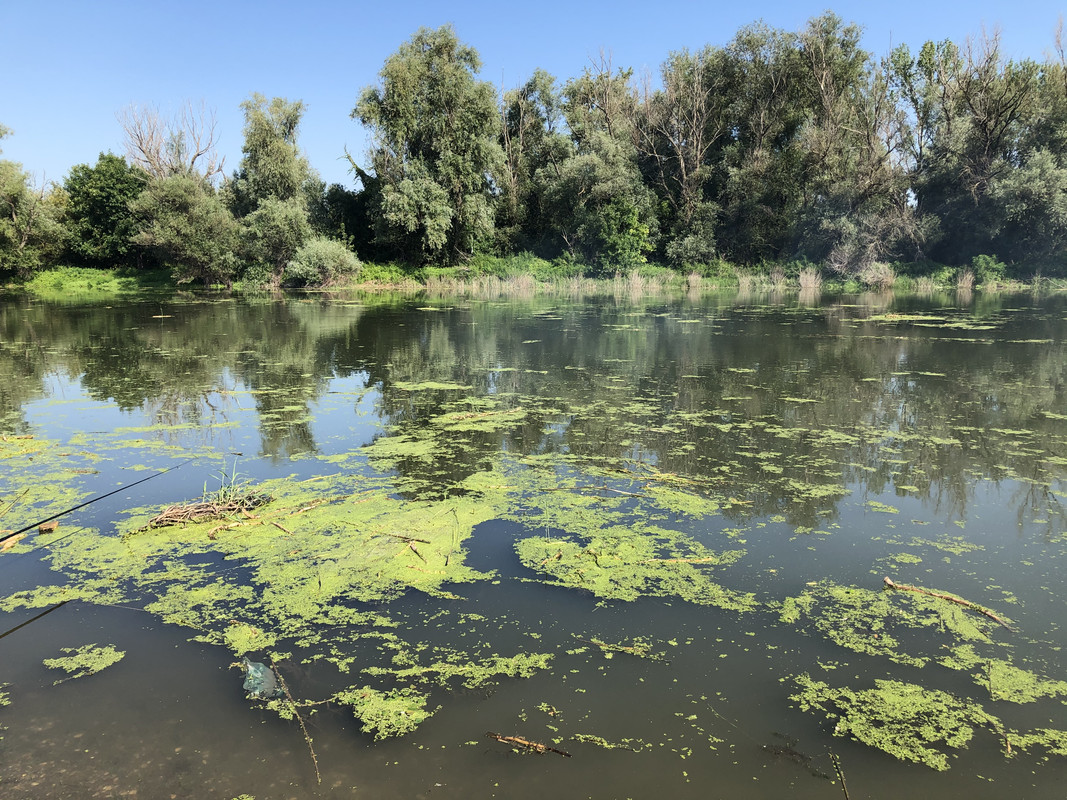 6B92A8CD-2021-4F29-8DAA-275D24FEF055