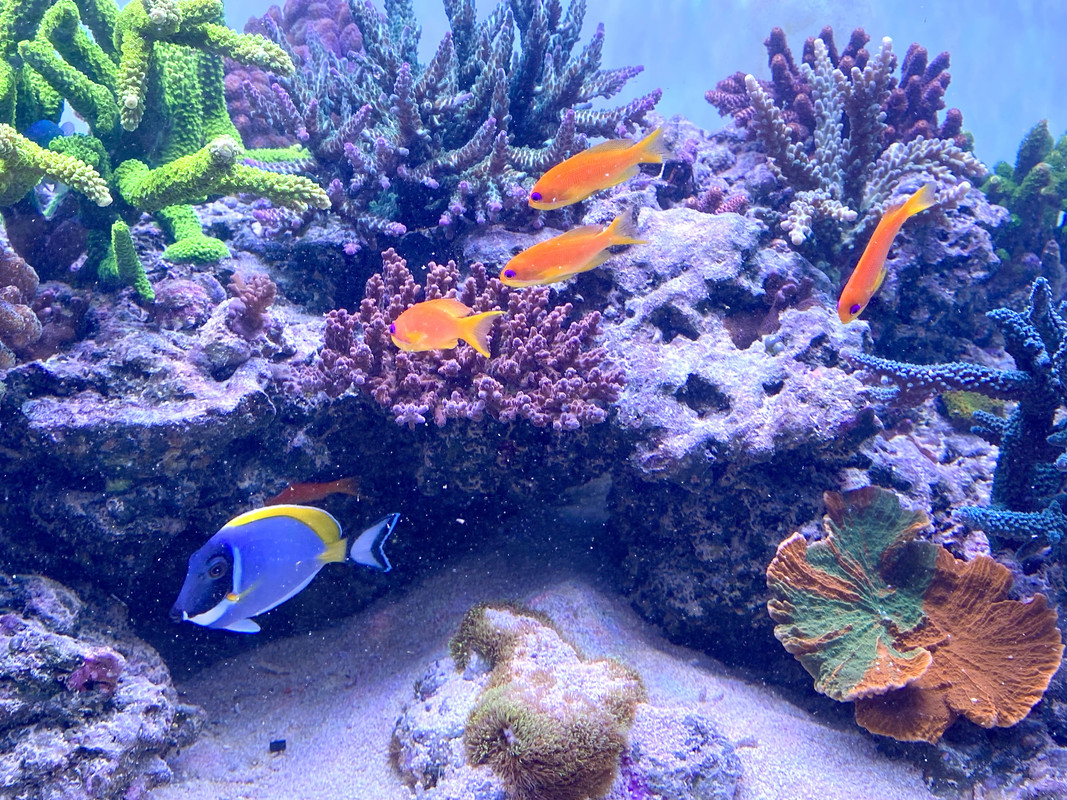 F941E699-A738-448F-B89E-80256E0662DC