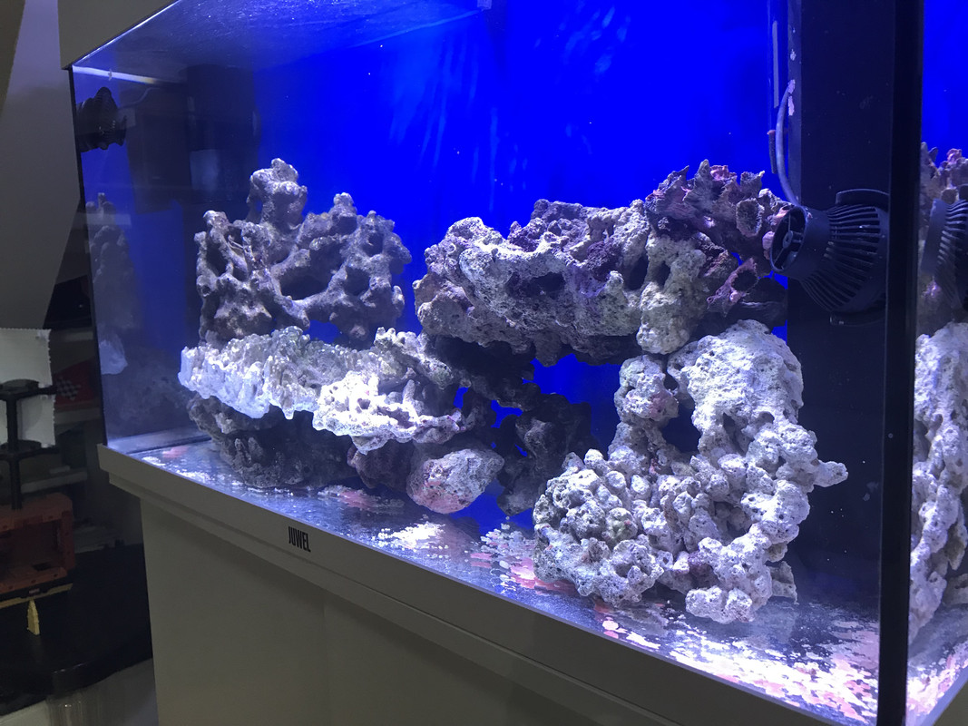 D621FB48-92E5-4293-994C-E14BC7B68976