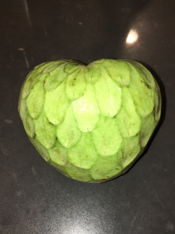 BAAFA40E-BF39-474D-9AFC-C760DA563638