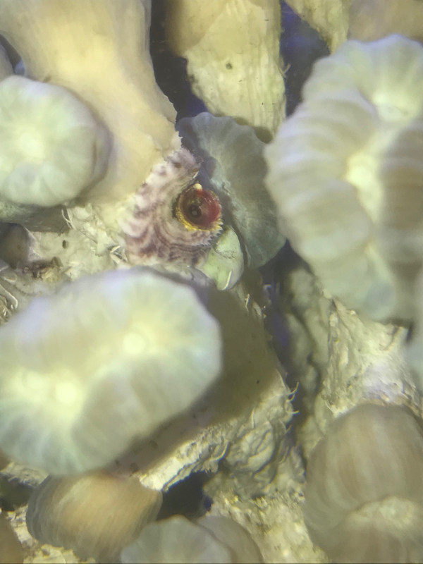 AD2A6207-ACA8-4247-B51D-76CA8F5D7773