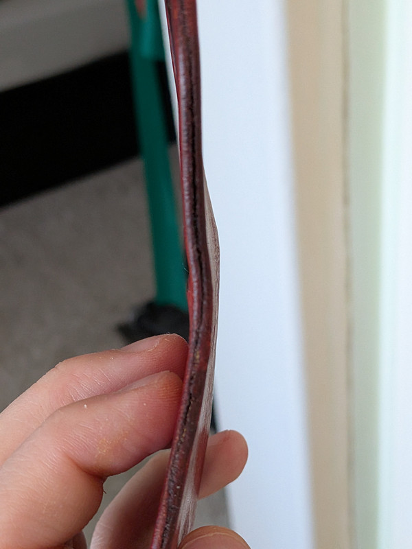 PXL 20260203 162829563