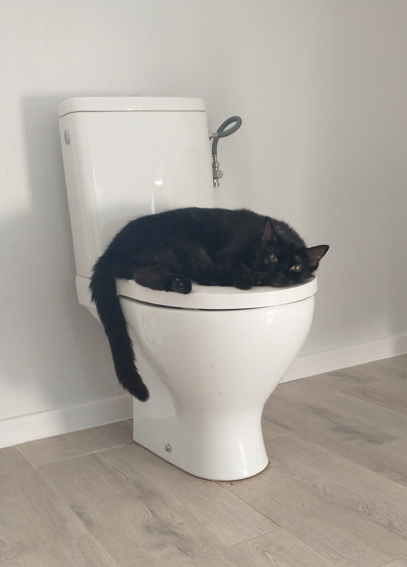 IMG 20260312 075241265 2