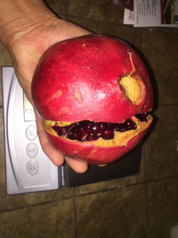 E75AA72C-2B56-426E-B9CF-34F3CBDD881E