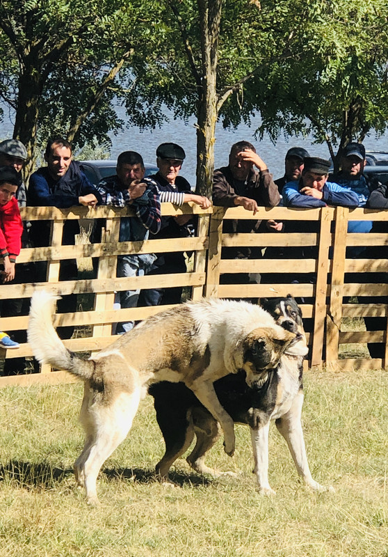 E1BD12AA-7F5C-461E-9429-7FB6545BF489