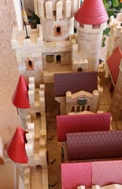 Detalles fotos originales MSM 2 0 (19)