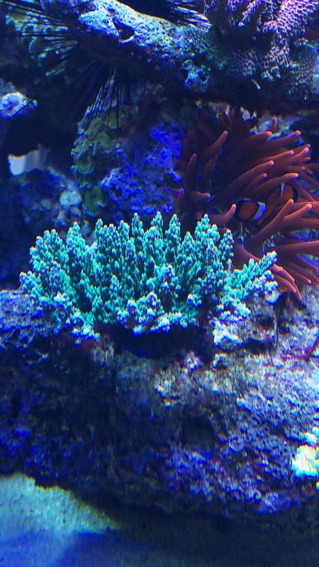 3ACDBEEB-38C5-495A-9C0B-5A150BC9B805