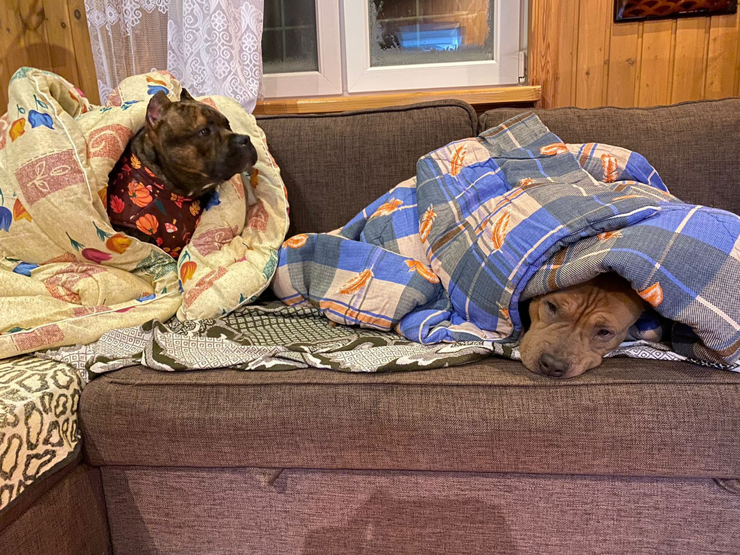 7604730D-A4E5-4129-AA18-F9314DAF35C3