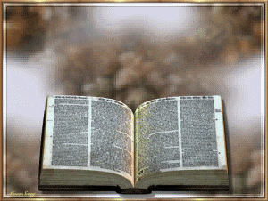 Comparaisons des Bibles en français Bible-jesus