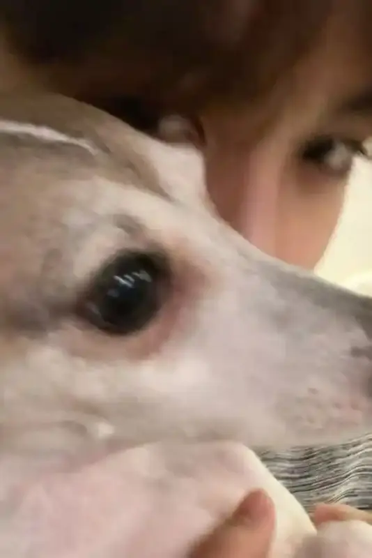 451517aad01603e4d499994da718d306_copy_589x883