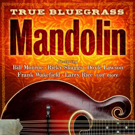 VA - True Bluegrass Mandolin (2019) FLAC