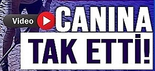 yeter-artik-dedi-ve.jpg