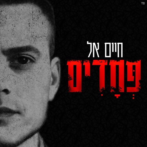 תמונה